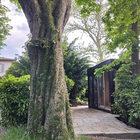 Dandelion & Park Villa Guardia