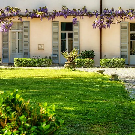 Dandelion & Park Hotel