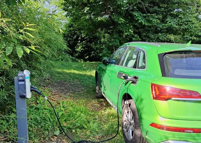 Dandelion & Park Hotel