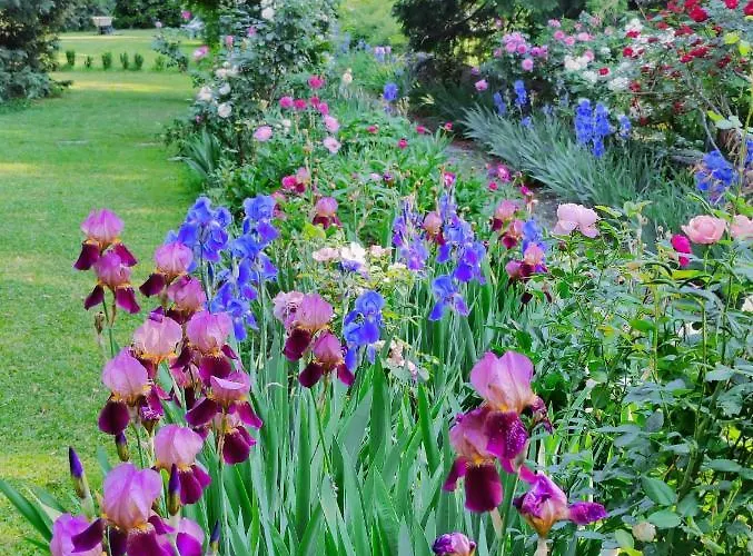 Dandelion & Park Hotel Villa Guardia